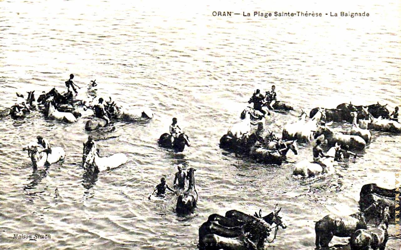 Oran - Port - Plage Sainte-Therese - Baignade.jpg